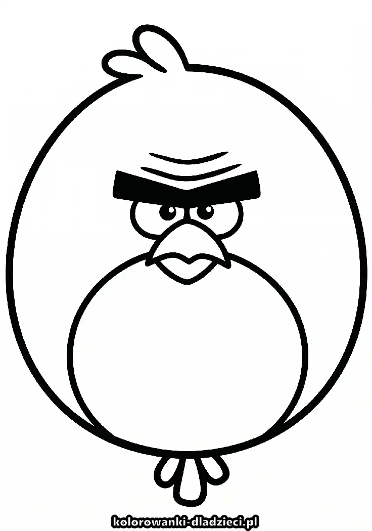 Angry birds - kolorowanka edukacyjna dla starszych dzieci